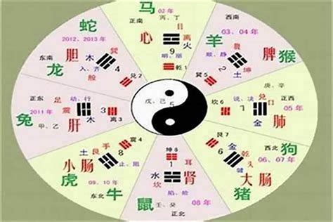 儒五行|儒字的五行是什么,儒的五行属性及吉利寓意